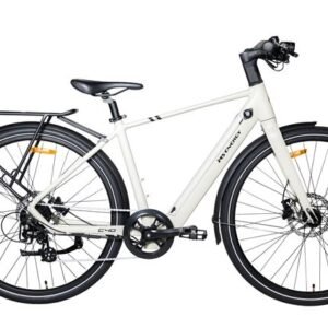 MS ENERGY eBike c40