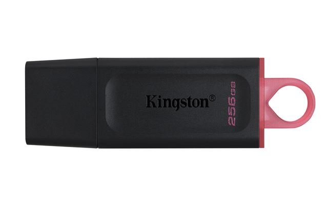 MEM UFD 256GB DTX KIN