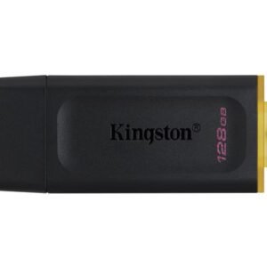 MEM UFD 128GB DTX KIN