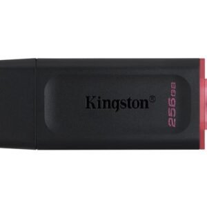 MEM UFD 256GB DTX KIN