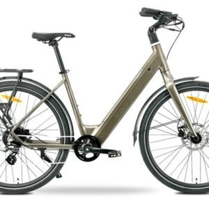 MS ENERGY eBike Zorya bronze