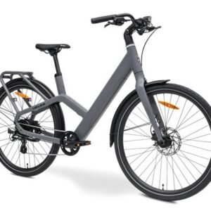 MS ENERGY eBike Veles Grey