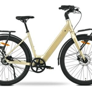 MS ENERGY eBike Zorya Plus Silver Gold