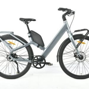 MS ENERGY eBike Veles Plus special gold