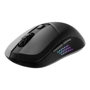MS MSI VERSA 300 ELITE W