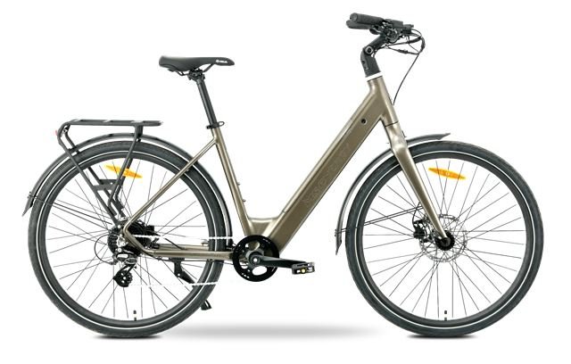 MS ENERGY eBike Zorya bronze