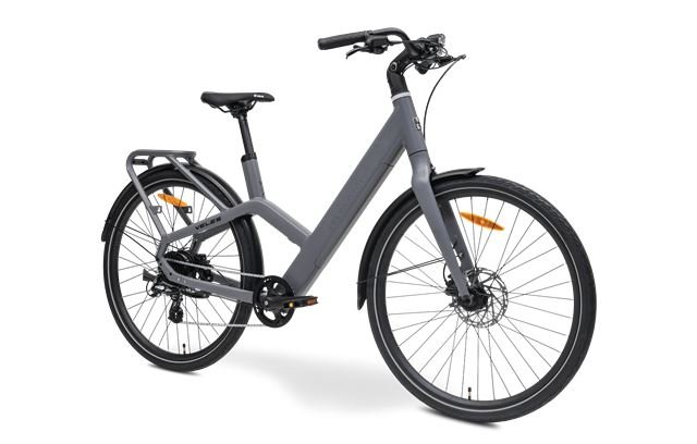 MS ENERGY eBike Veles Grey